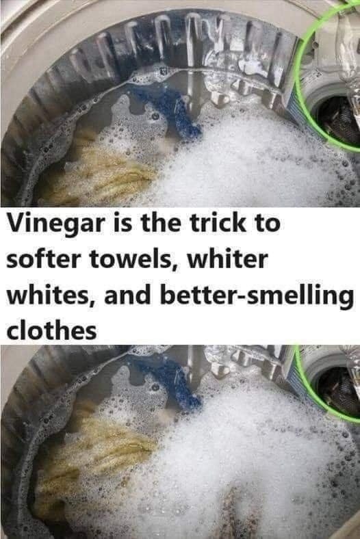 The Power of Vinegar: Revolutionizing Your Laundry Routine