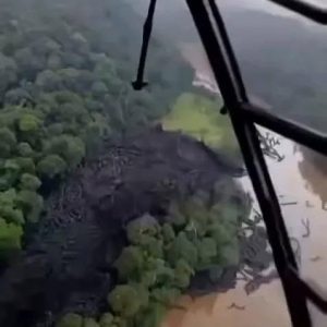 OMG Unbelievable footage from the Amazon….See more