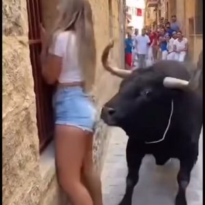 Bull Corners Beautiful Tourist - Seconds Later, Nobody Could Believe Their Eyes