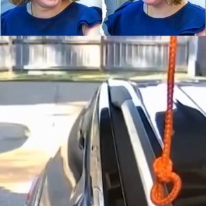 Teen Smiles in Court, Thinks She’s Going Home , Then the Video of her